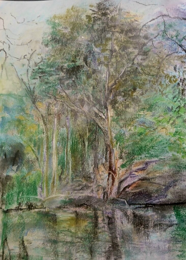 Landscape
