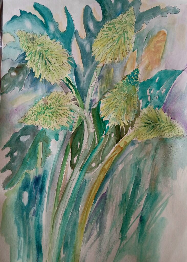 Still Life
